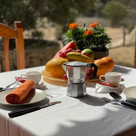 Prázdninový dům Casa Rural Olivos Relax Hiking Arico