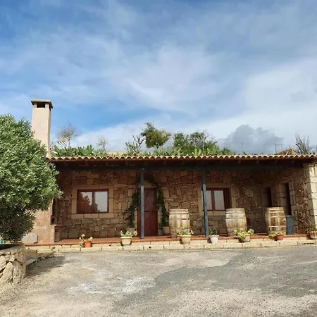 Feriehus Casa Rural Olivos Relax Hiking Arico