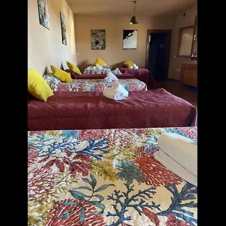 Casa Rural Olivos Relax Hiking Arico
